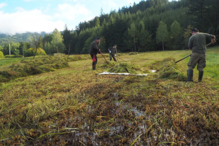 Péče o mokřad na Jurášce. Foto: ČSOP Salamandr